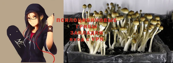 apvp Абинск