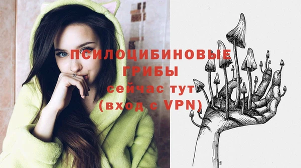apvp Абинск