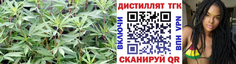 omg сайт  Кашира  Дистиллят ТГК Wax  закладка 