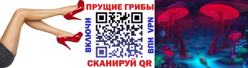 Псилоцибиновые грибы мицелий  Кашира 