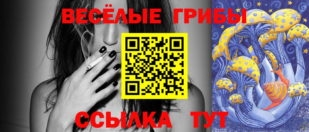 Кашира  Галлюциногенные грибы Cubensis  купить наркоту  Вход с VPN  Псилоцибиновые грибы мухоморы 