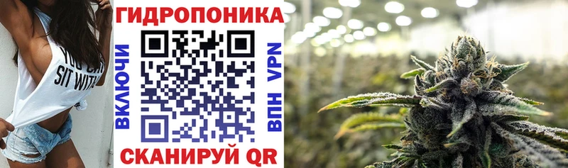 Марихуана гибрид  Кашира 